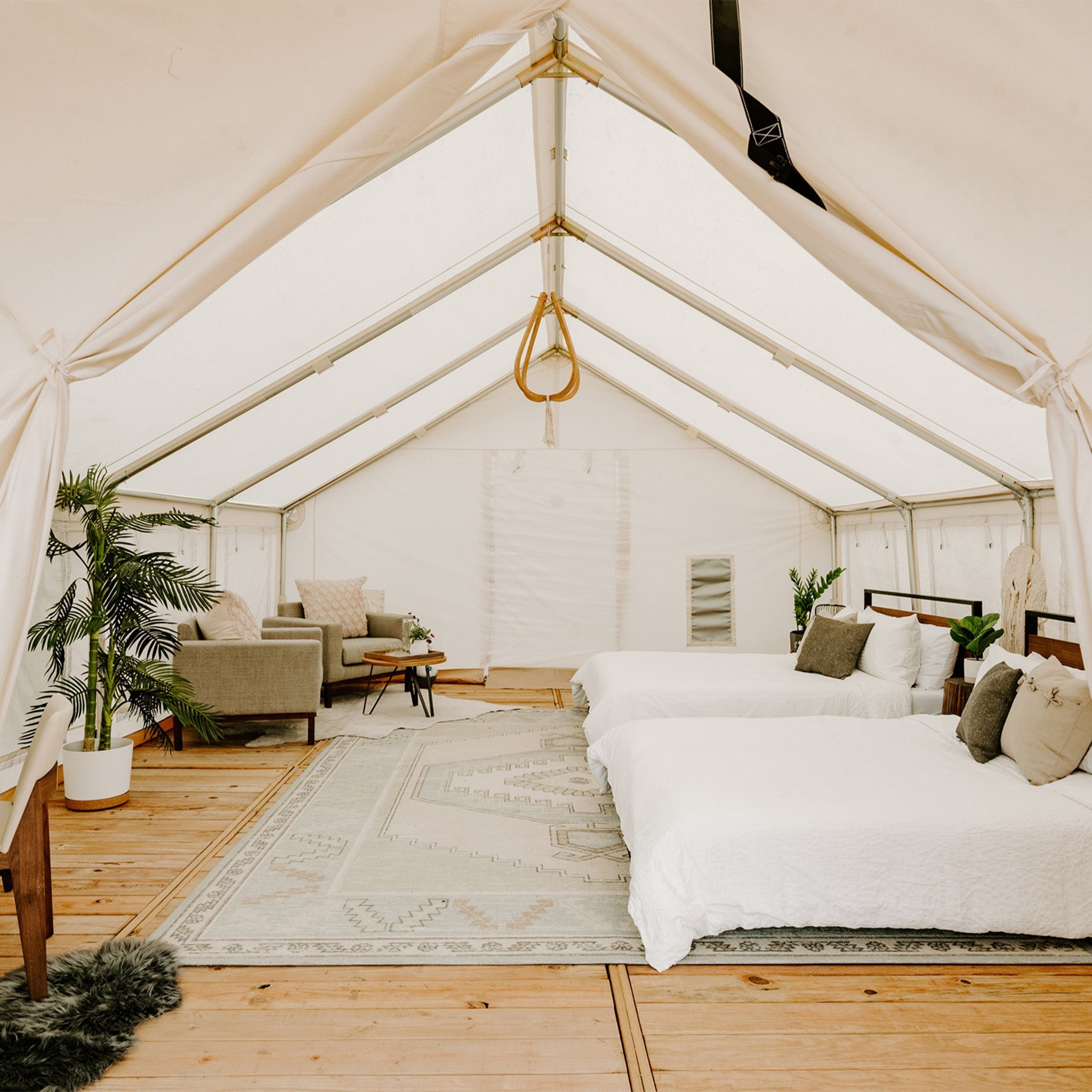 USED - 16'x20' Alpha Pro Wall Tent