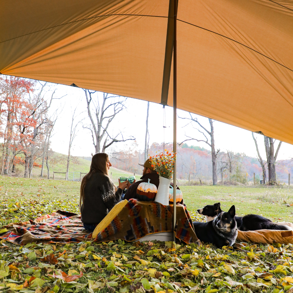 Sunshade Tarp 330
