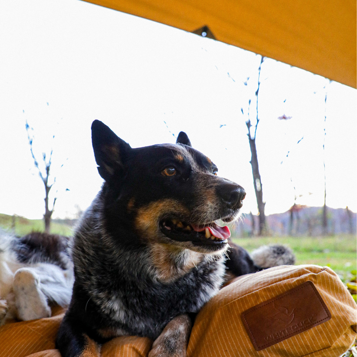 Sunshade Tarp 330