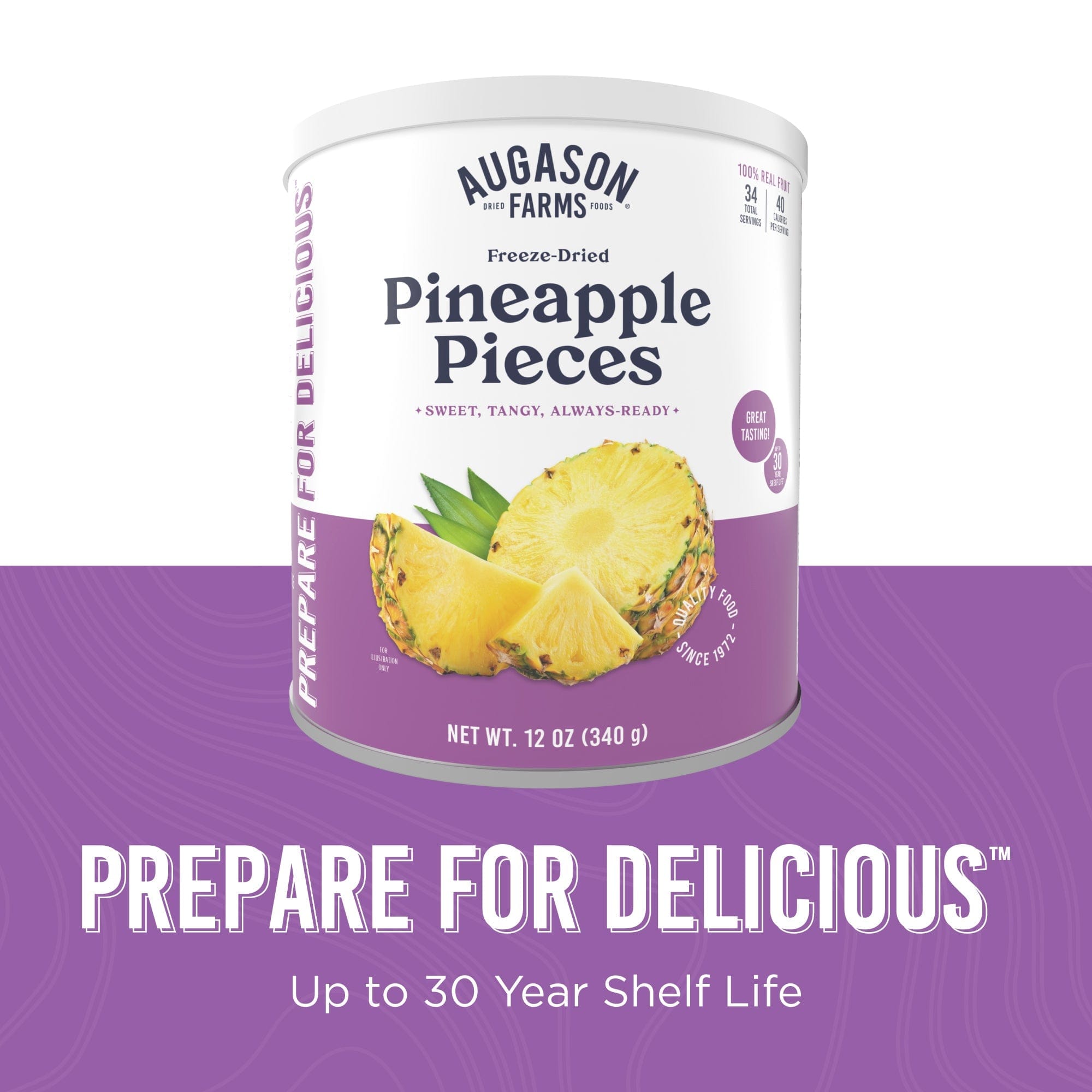 Augason Farms Freeze Dried Pineapple Pieces Can, 34 Servings Freeze Dried Pineapple Pieces Can - 34 Servings