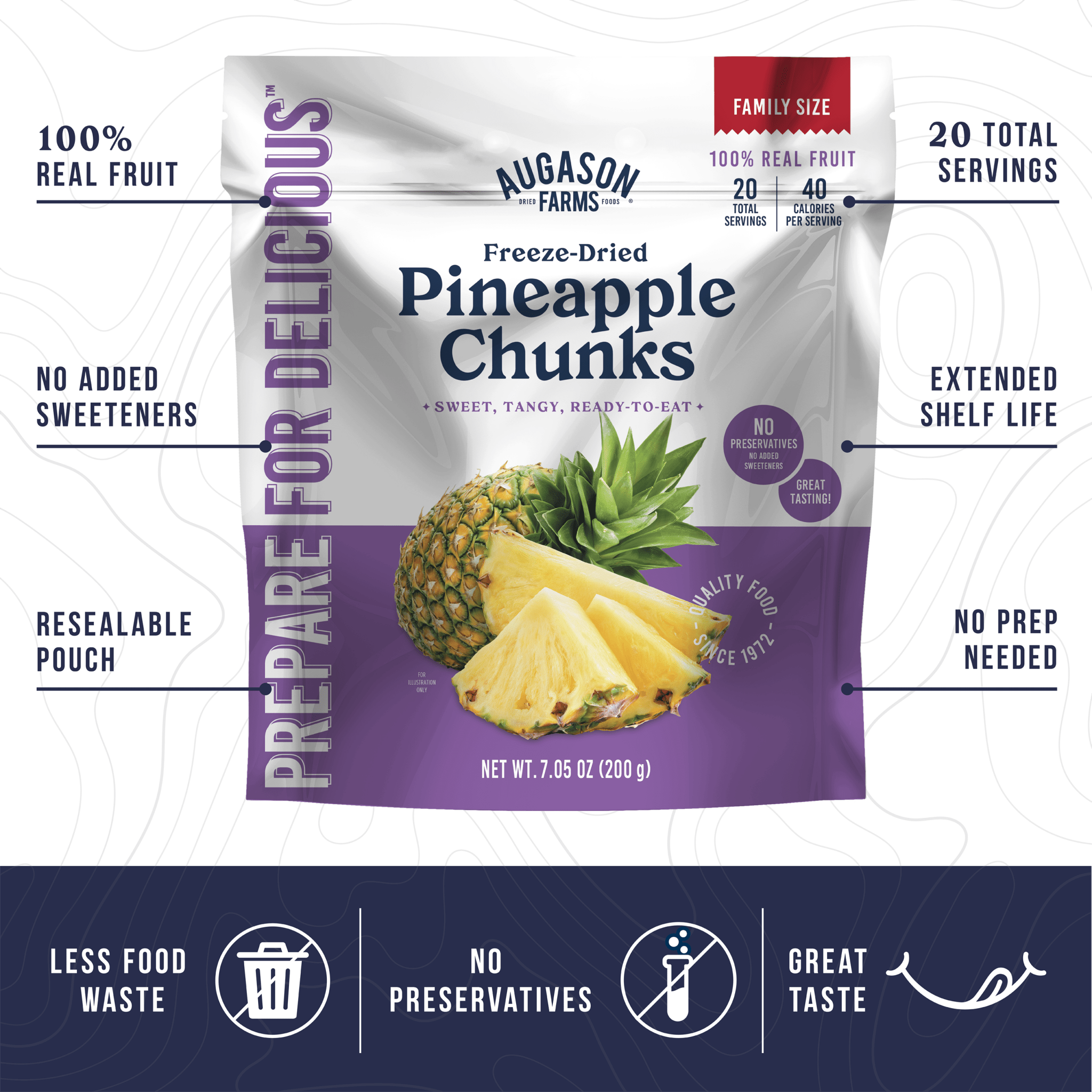 Freeze Dried Pineapple Chunks Family Size Pouch, 20 Servings