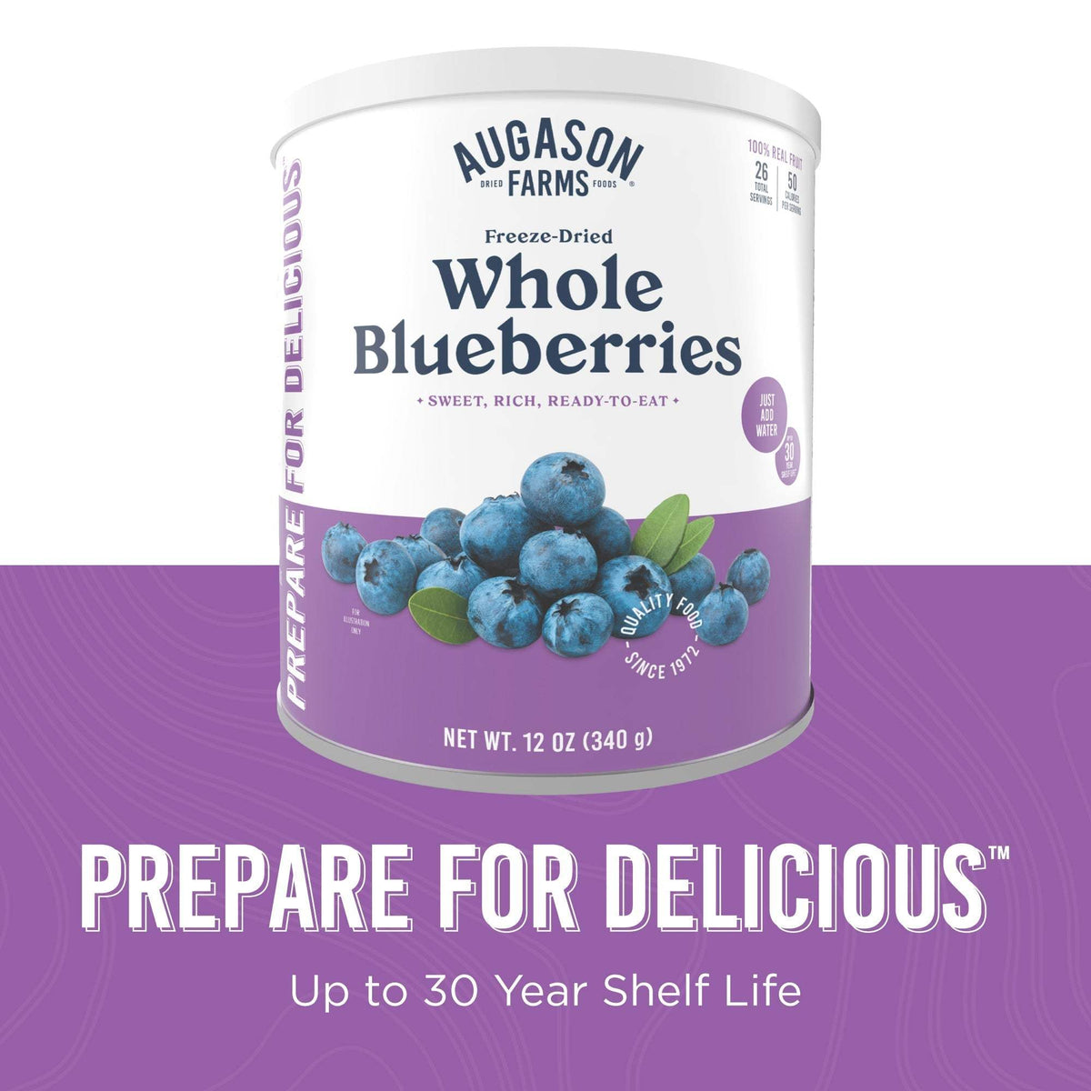 Freeze Dried Whole Blueberries Can, 26 Servings