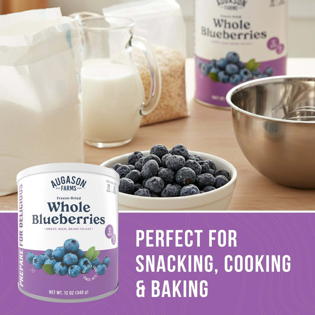 Freeze Dried Whole Blueberries Can, 26 Servings