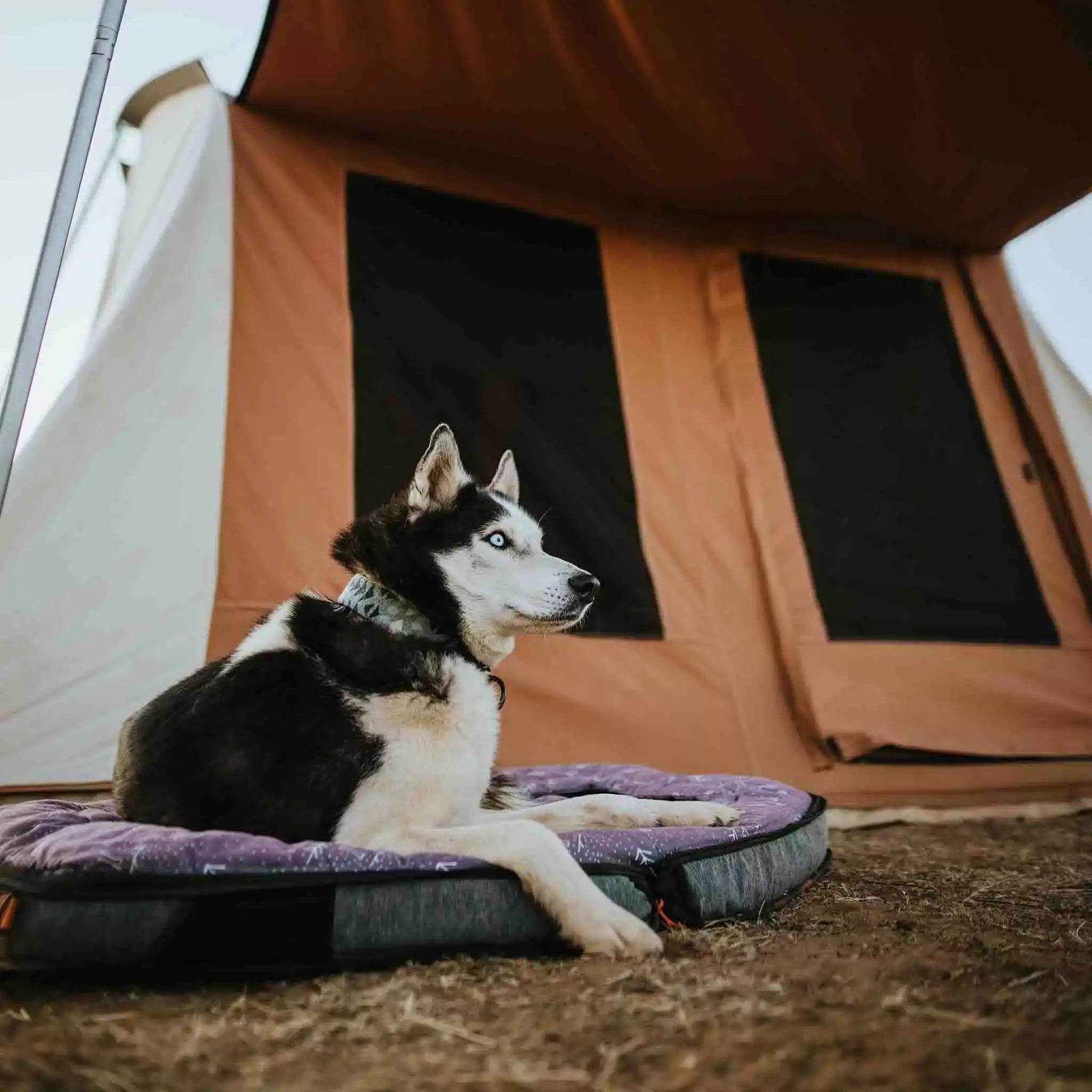 USED - 10'x10' Prota Canvas Tent, Deluxe