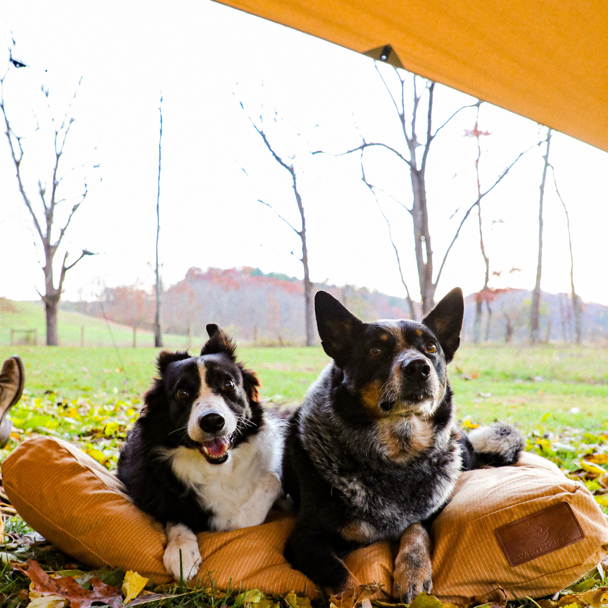 Sunshade Tarp 400